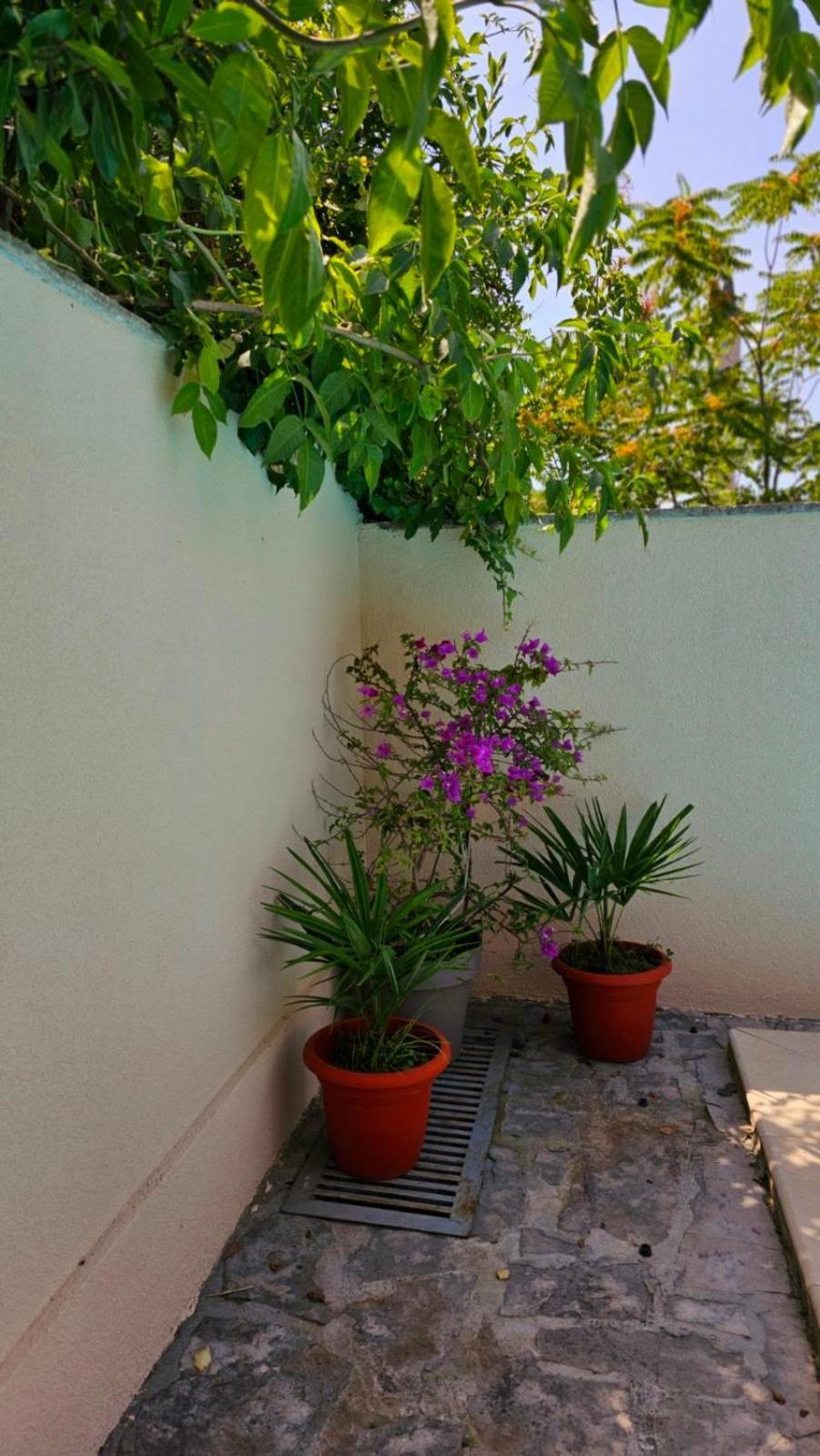 Lovely House With Swimming Pool Mostar Exterior foto